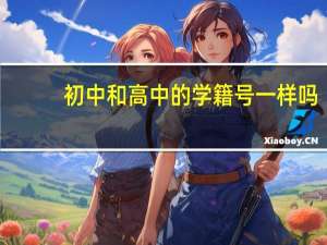 初中和高中的学籍号一样吗