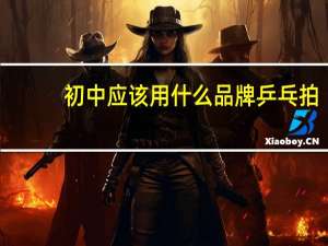 初中应该用什么品牌乒乓拍
