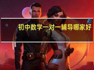 初中数学一对一辅导哪家好