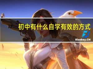 初中有什么自学有效的方式