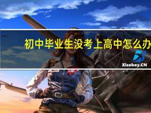初中毕业生没考上高中怎么办