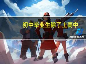 初中毕业生除了上高中，还有哪些出路