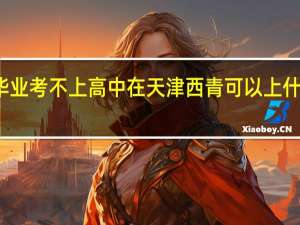 初中毕业考不上高中在天津西青可以上什么职业学校