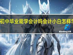 初中毕业能学会计吗 会计小白怎样学会计