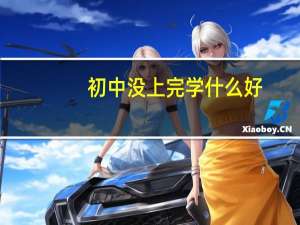 初中没上完学什么好