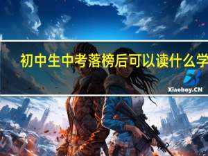 初中生中考落榜后可以读什么学校