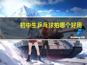 初中生乒乓球拍哪个好用
