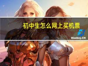 初中生怎么网上买机票