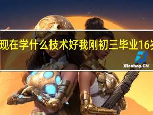 初中生现在学什么技术好我刚初三毕业16岁了是位男生