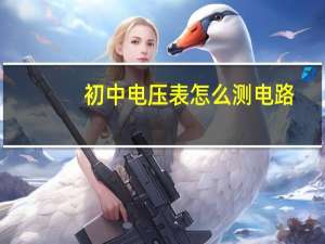 初中电压表怎么测电路