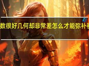 初中的数学代数很好几何却非常差怎么才能弥补 初中数学差怎么补救