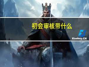 初会审核带什么