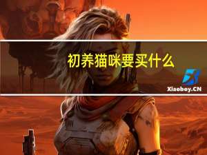 初养猫咪要买什么