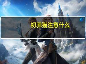 初养猫注意什么