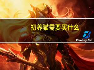 初养猫需要买什么