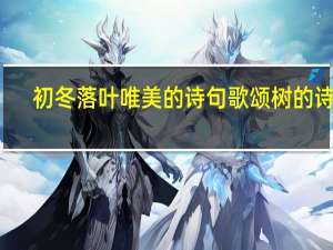 初冬落叶唯美的诗句歌颂树的诗词