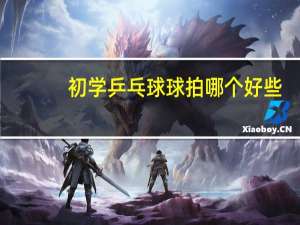 初学乒乓球球拍哪个好些