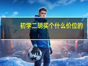 初学二胡买个什么价位的