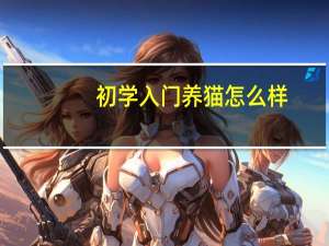 初学入门养猫怎么样