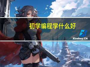 初学编程学什么好