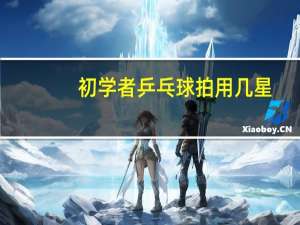 初学者乒乓球拍用几星