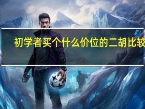 初学者买个什么价位的二胡比较好