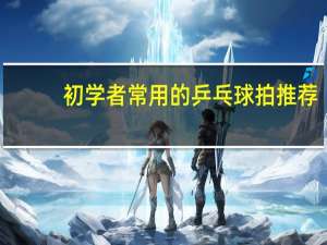 初学者常用的乒乓球拍推荐