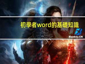 初學者word的基礎知識