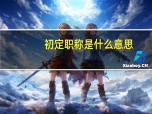 初定职称是什么意思