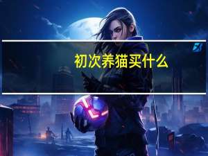 初次养猫买什么