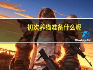 初次养猫准备什么呢