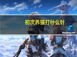 初次养猫打什么针