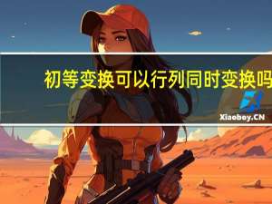 初等变换可以行列同时变换吗