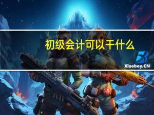 初级会计可以干什么