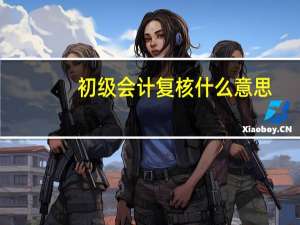 初级会计复核什么意思
