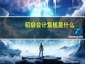 初级会计复核是什么