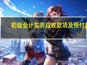 初级会计实务应收款项及预付款