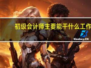 初级会计师主要能干什么工作