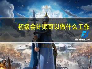 初级会计师可以做什么工作