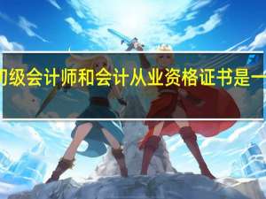 初级会计师和会计从业资格证书是一样的吗