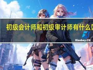 初级会计师和初级审计师有什么区别