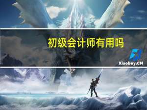 初级会计师有用吗