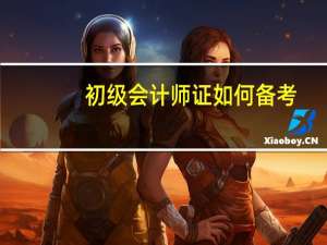 初级会计师证如何备考