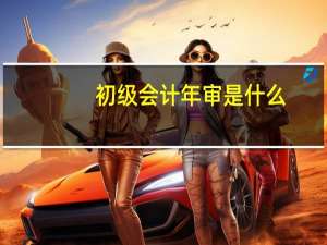 初级会计年审是什么