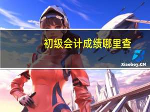 初级会计成绩哪里查