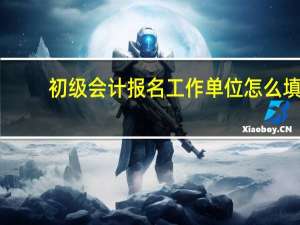 初级会计报名工作单位怎么填