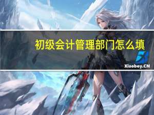 初级会计管理部门怎么填