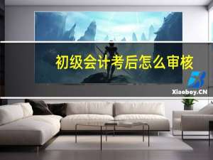 初级会计考后怎么审核