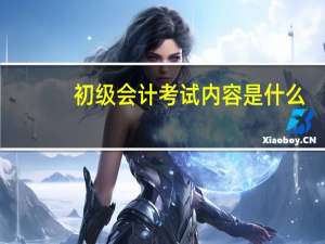 初级会计考试内容是什么