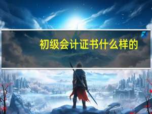 初级会计证书什么样的